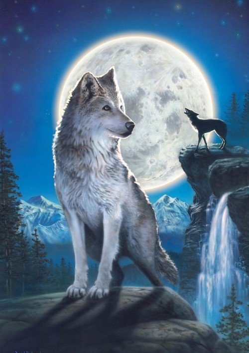 lobos 1 - animales - оригинал