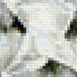 Предпросмотр схемы вышивки «котяра» (№1977835)