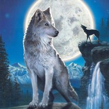lobos en la luna