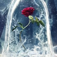 Схема вышивки «rosa de cristal»