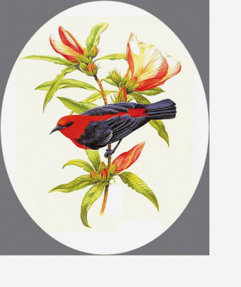 Птичка. - птица - предпросмотр