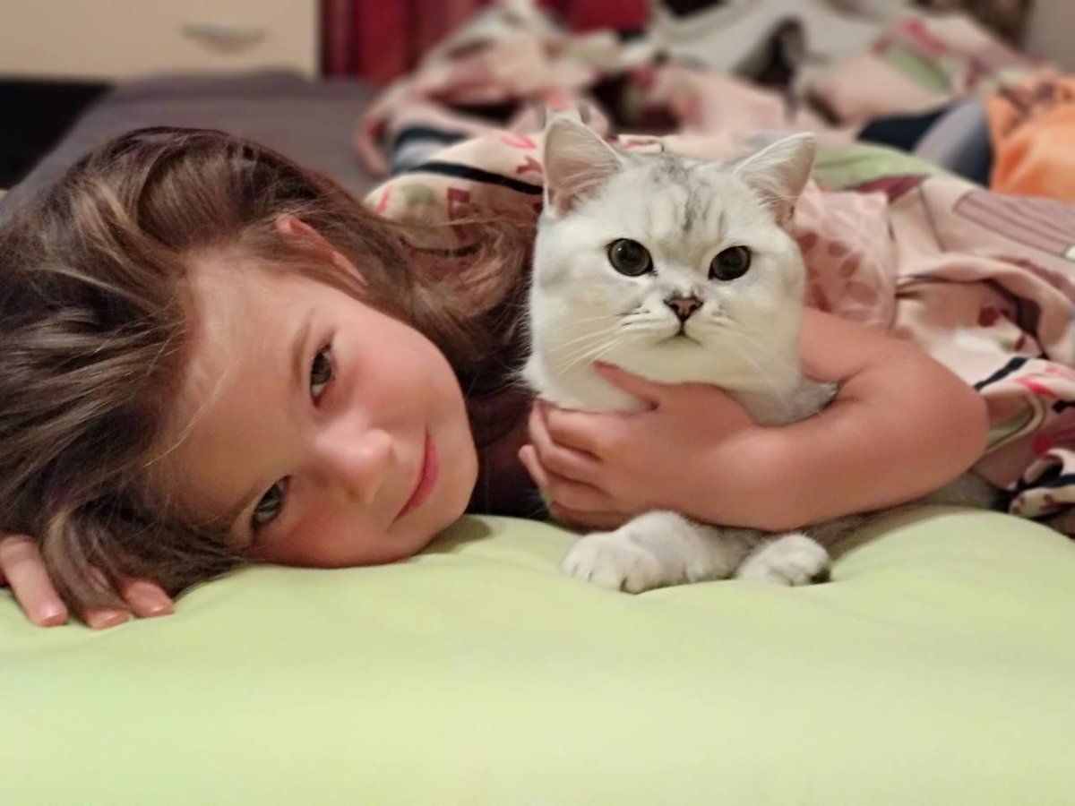 ДРУЗЬЯ - животные, кот, девочка, друзья - оригинал