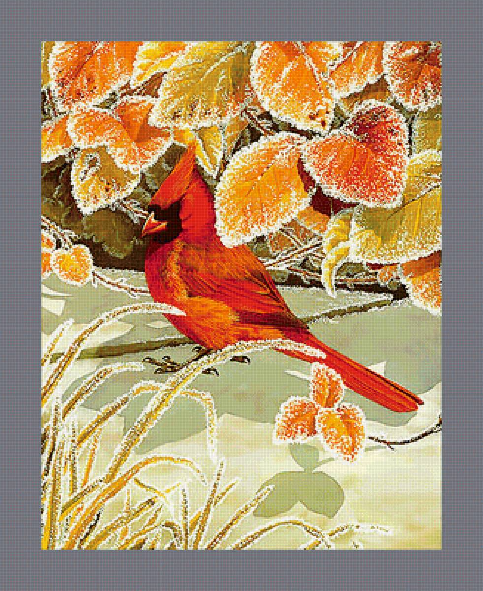 Серия "Птицы" - птицы, фауна - предпросмотр