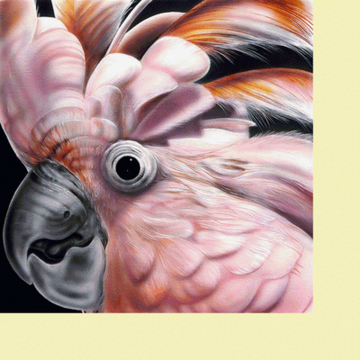 Серия "Птицы". Попугай - птицы, фауна, попугаи - предпросмотр