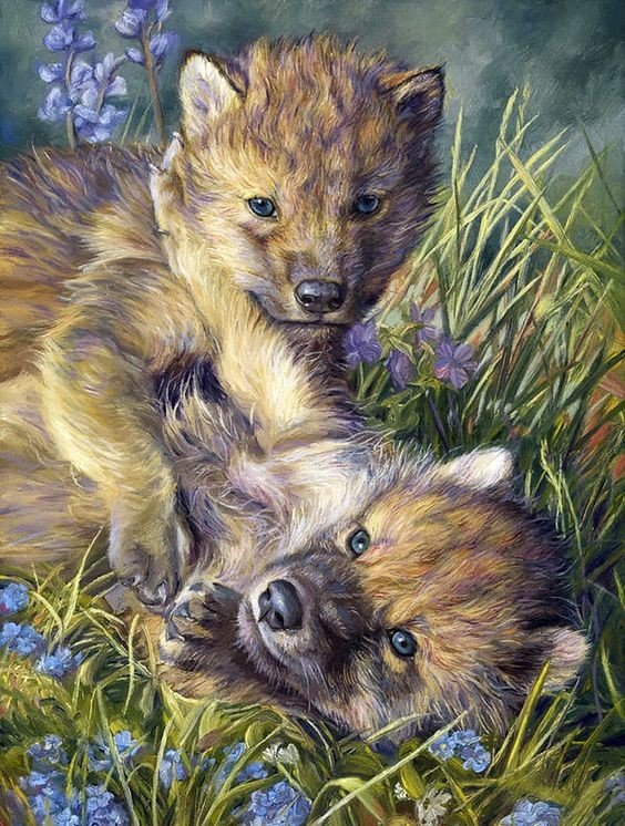 дикие - оригинал