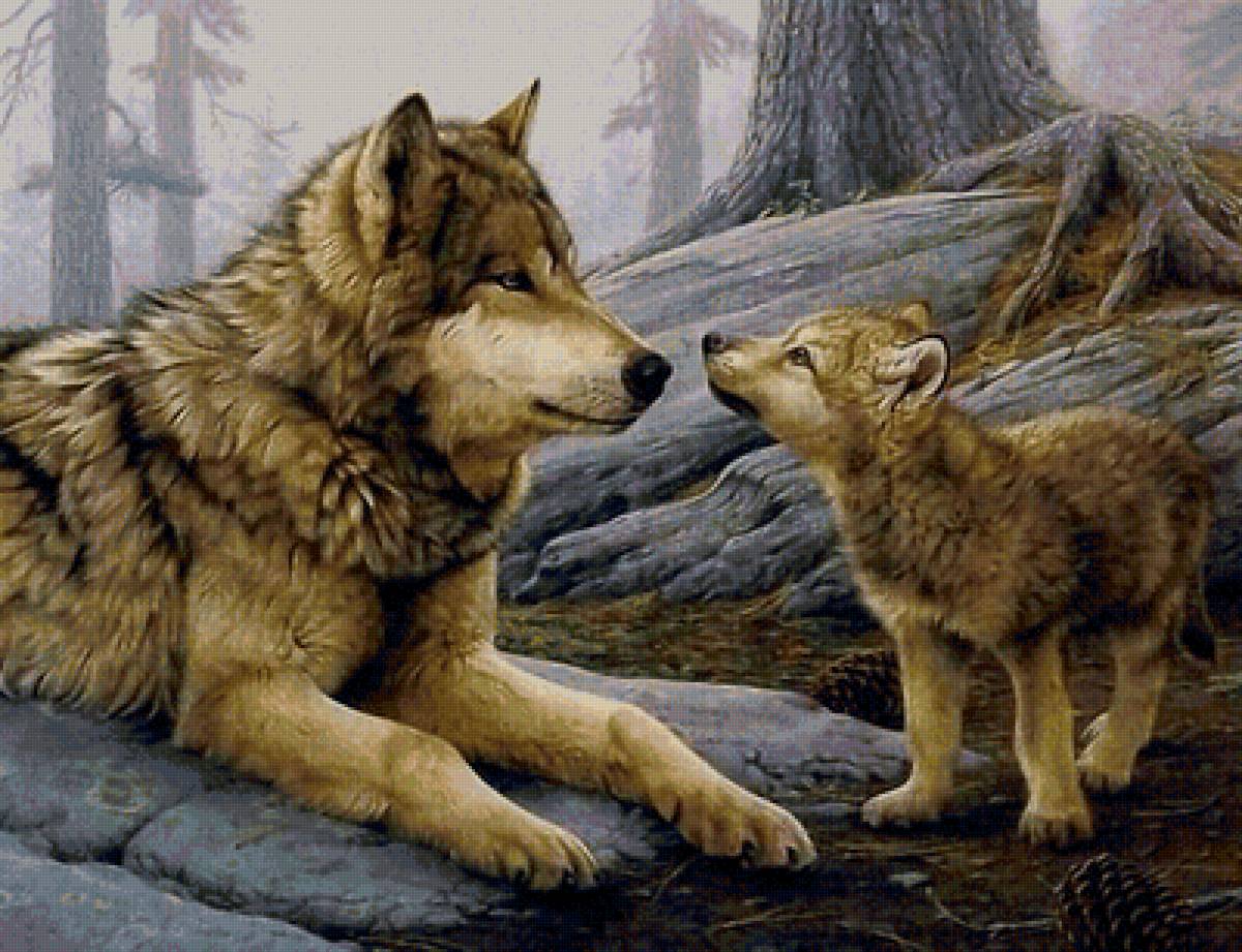 дикие - предпросмотр