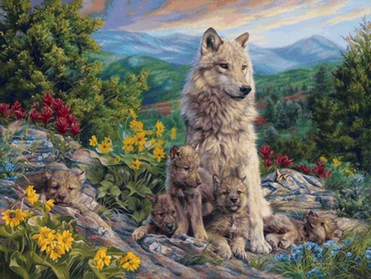 дикие - предпросмотр