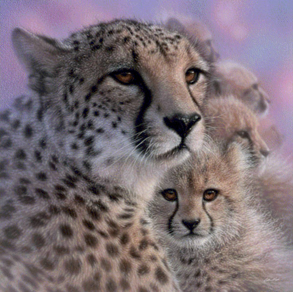 CHEETAH MOTHER'S LOVE - дикие животные, by collin bogle - предпросмотр