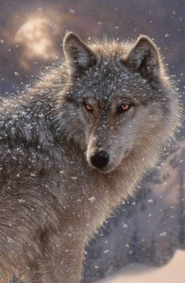 LONE WOLF - дикие животные, by collin bogle - предпросмотр