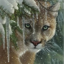 FROZEN COUGAR