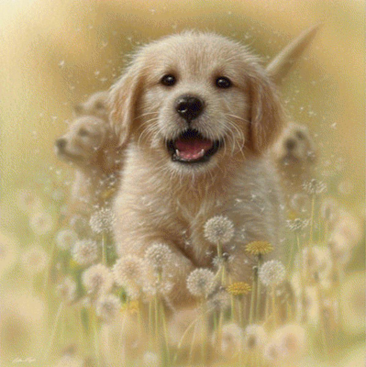 Картинки с добрым с животными. Коллин Богл художник картины. Милые собачки. Радость жизни животные. Добрый день с собаками.