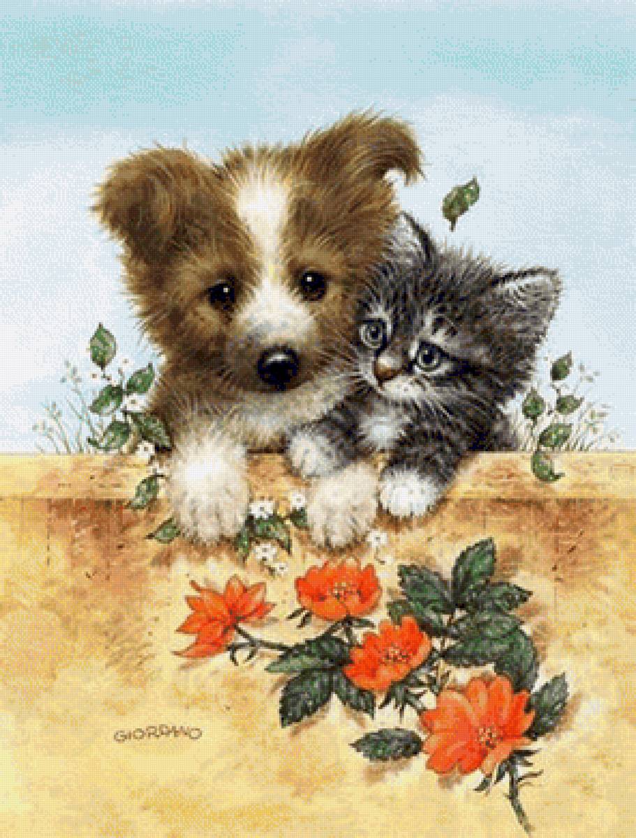 priatelia - предпросмотр