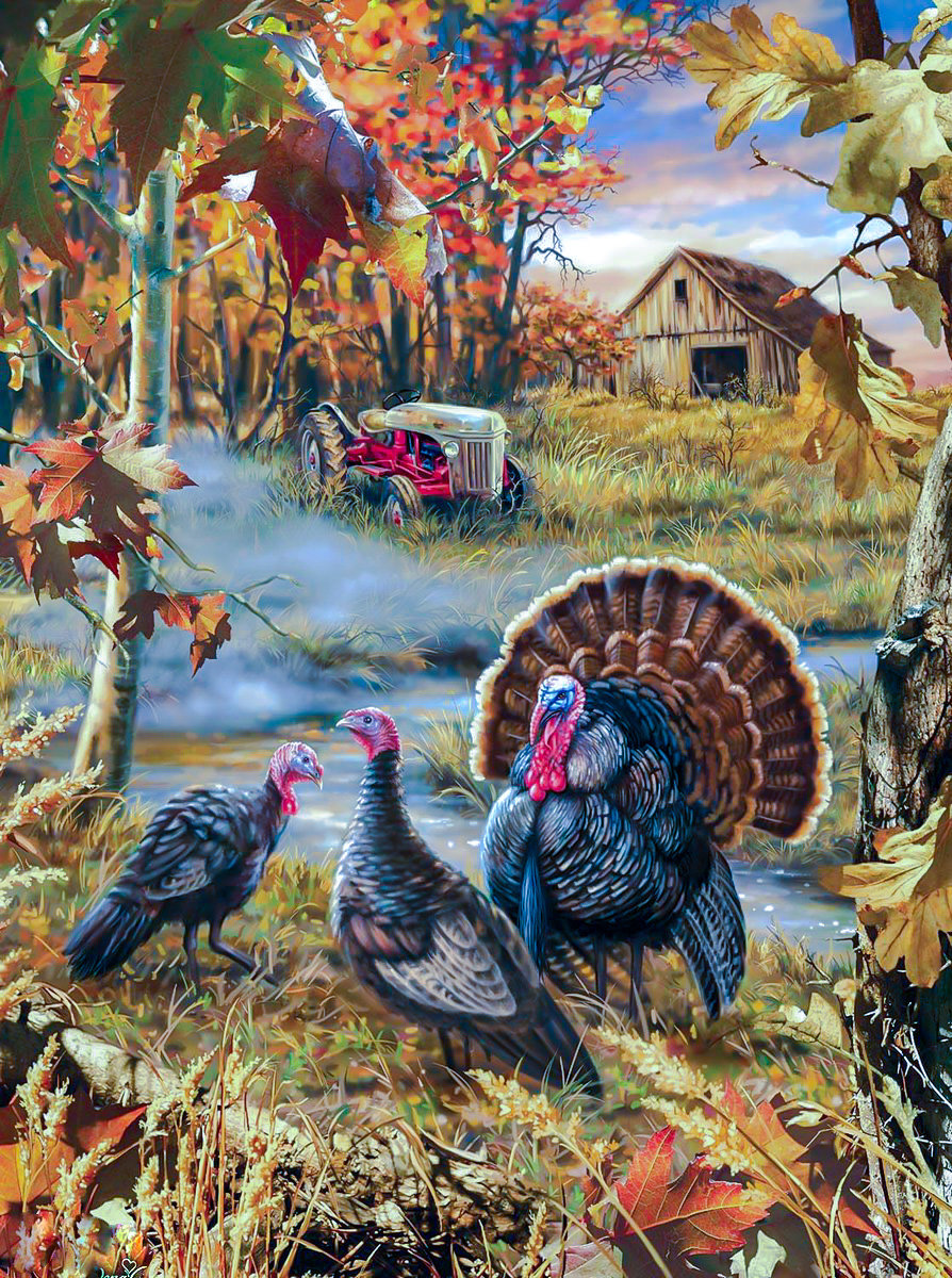 Turkey Ranch. - dona gelsinger paints.scenarys.birds. - оригинал