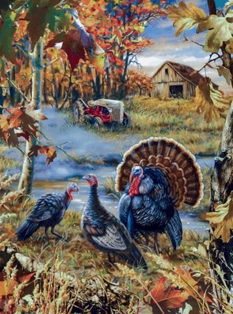 Turkey Ranch. - dona gelsinger paints.scenarys.birds. - предпросмотр
