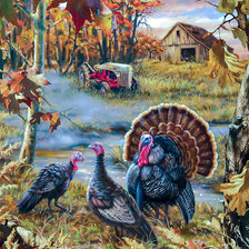 Turkey Ranch.