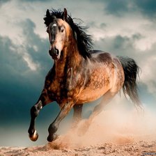 Схема вышивки «Красивая лошадь»