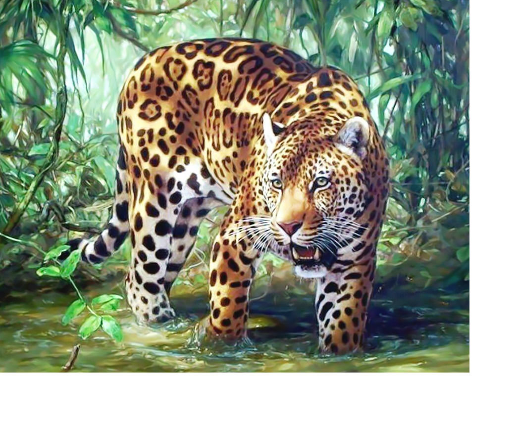Ягуар. - животные, ягуар, река, хищник - оригинал