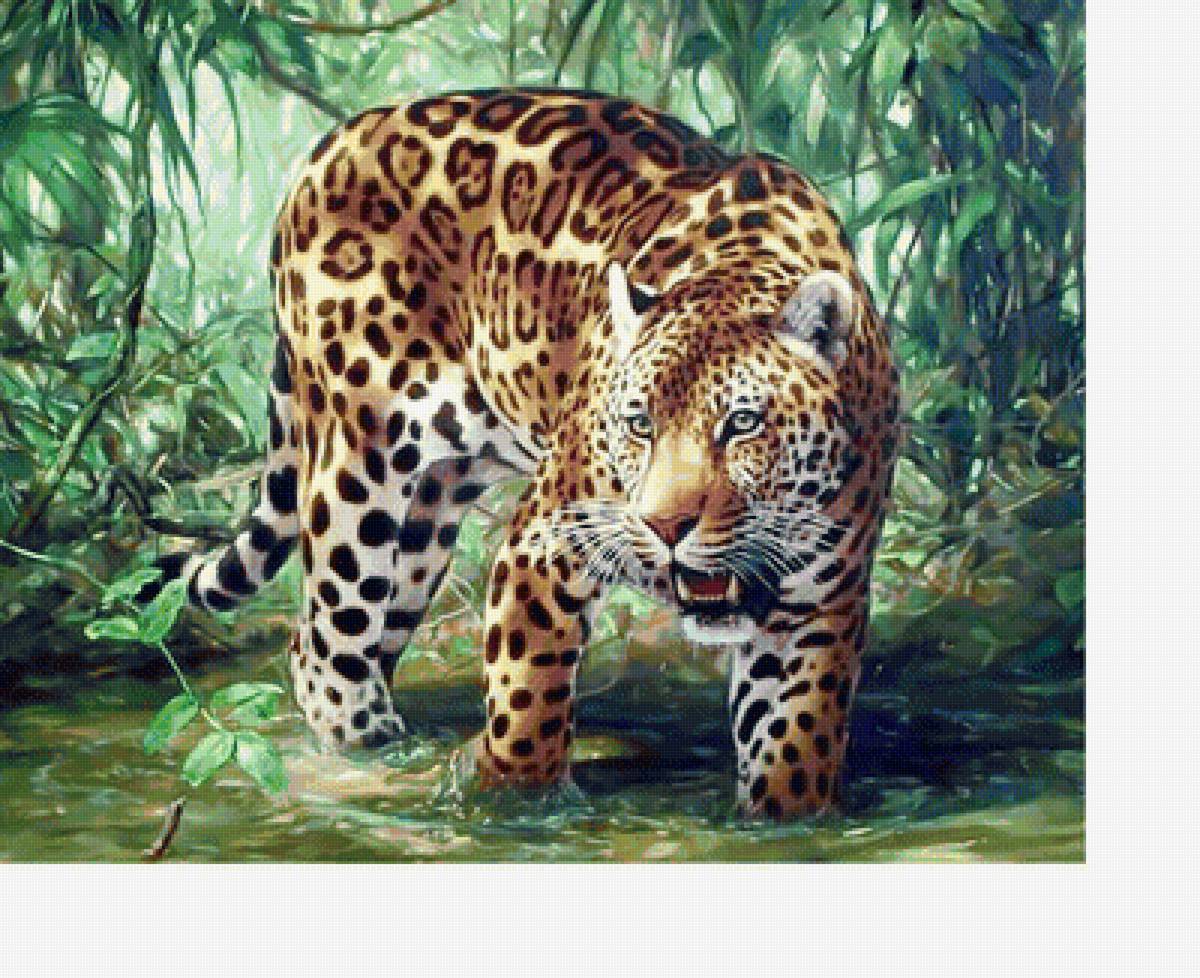 Ягуар. - животные, ягуар, река, хищник - предпросмотр