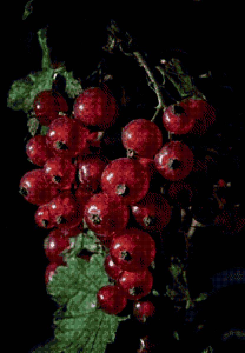 Смородина - предпросмотр