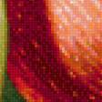 Предпросмотр схемы вышивки «Серия "Фруктово-ягодная". Яблоки» (№1979444)