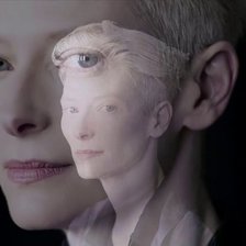 Схема вышивки «Портрет Тильды Суинтон двойной»