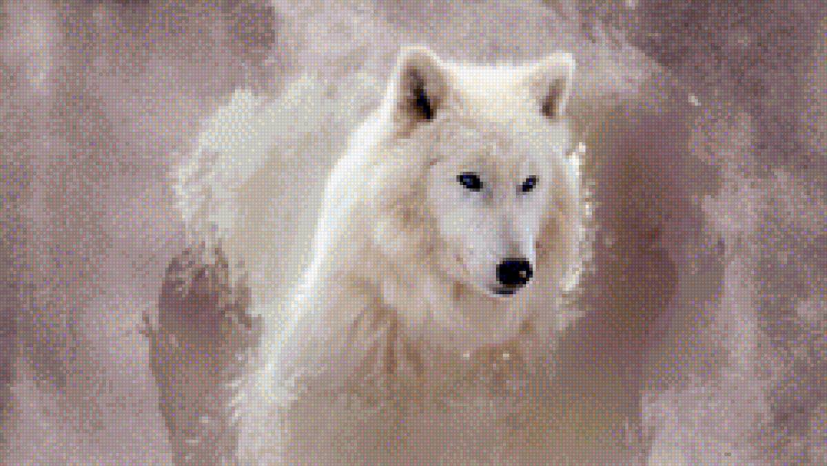 Lobo blanco en nieve - lobo nieve invierno wolf winter white - предпросмотр