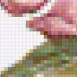 Предпросмотр схемы вышивки «цветы» (№1979635)