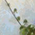 Предпросмотр схемы вышивки «лиана» (№1979662)