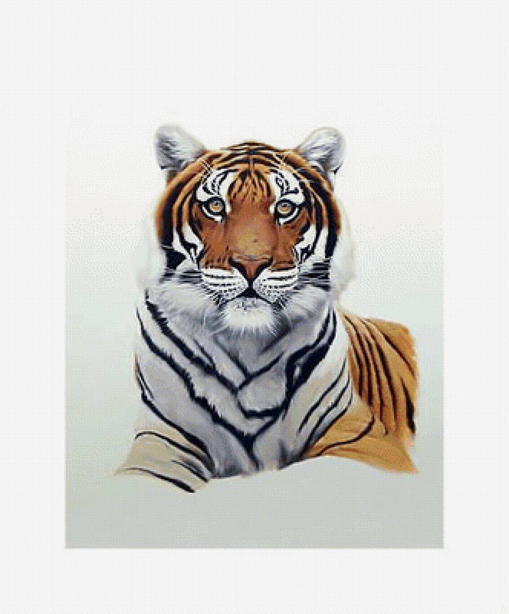 Тигр. - хищник, взгляд, тигр - предпросмотр