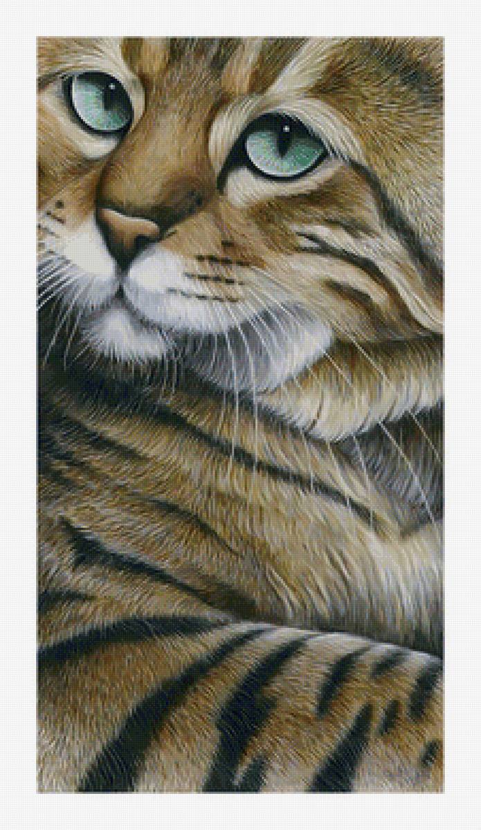 Кот. - кот - предпросмотр