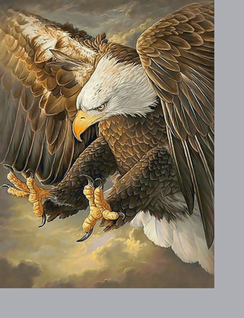 Орёл. - хищник, крылья, орел, птицы, полет - оригинал