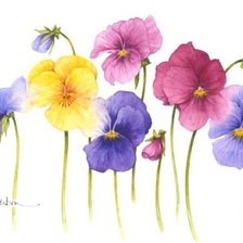 Схема вышивки «АНЮТИНЫ ГЛАЗКИ»