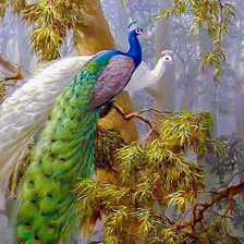 Схема вышивки «Beauty Peacocks.»