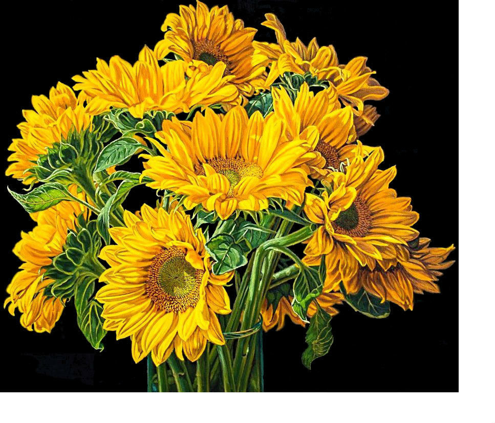 Подсолнухи - цветы, на черном, цветы в вазе - оригинал