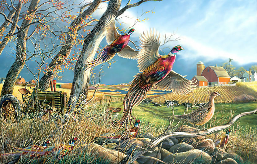 Осенний пейзаж с фазанами. - поле, фазаны, пейзаж, птицы, дом, осень - оригинал
