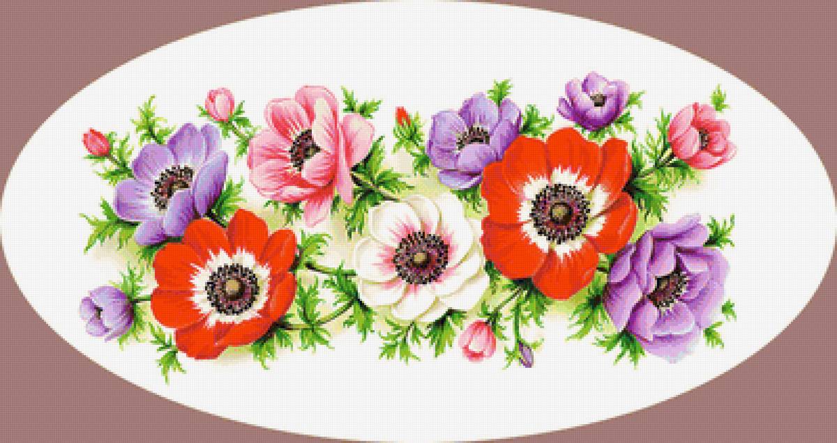 Серия "Анемоны" - цветы, анемоны, флора - предпросмотр