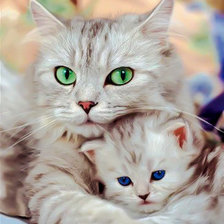 Mother and Baby.