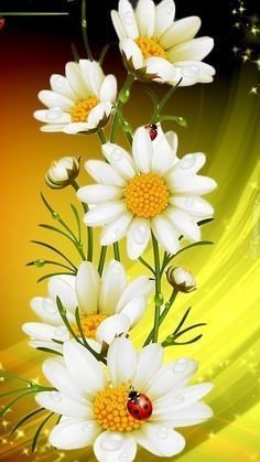 Margaritas - punto cuz - оригинал