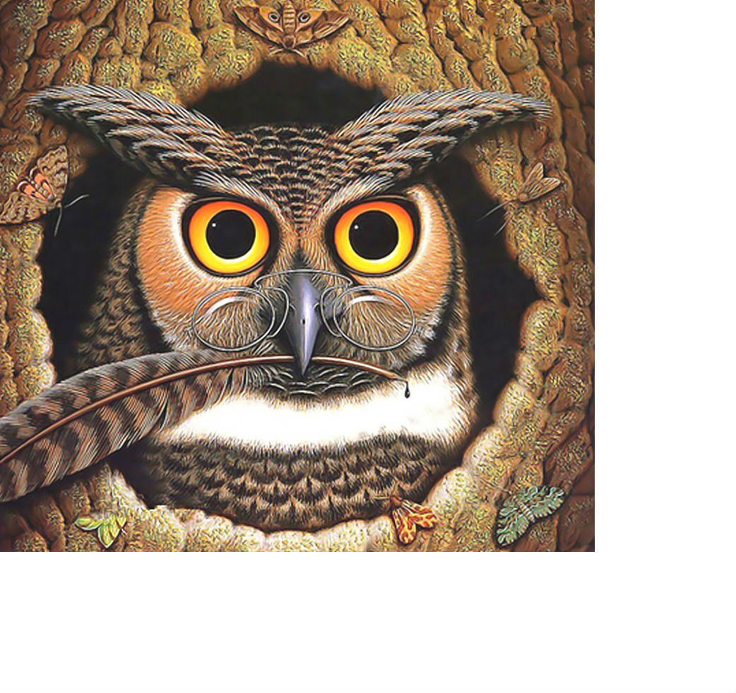 Сказочник. - филин, перо, очки, сова, птица - оригинал