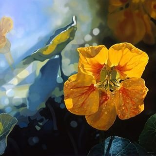 Nasturca - nasturca - оригинал