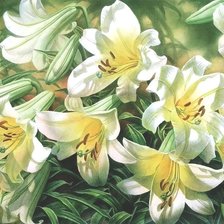 Схема вышивки «Лилии»