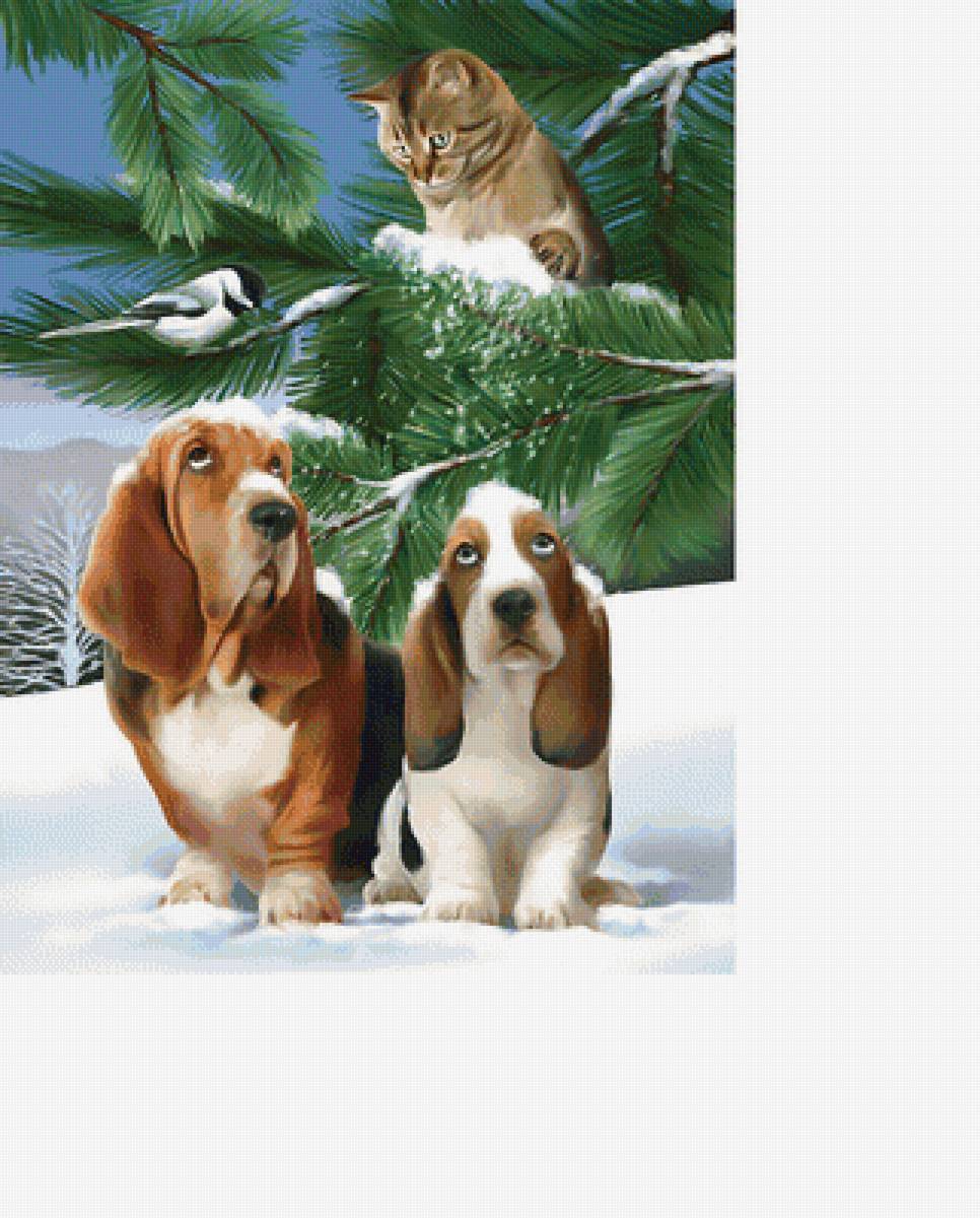 Друзья. - кот, птицы, собаки, животные, зима, снег - предпросмотр