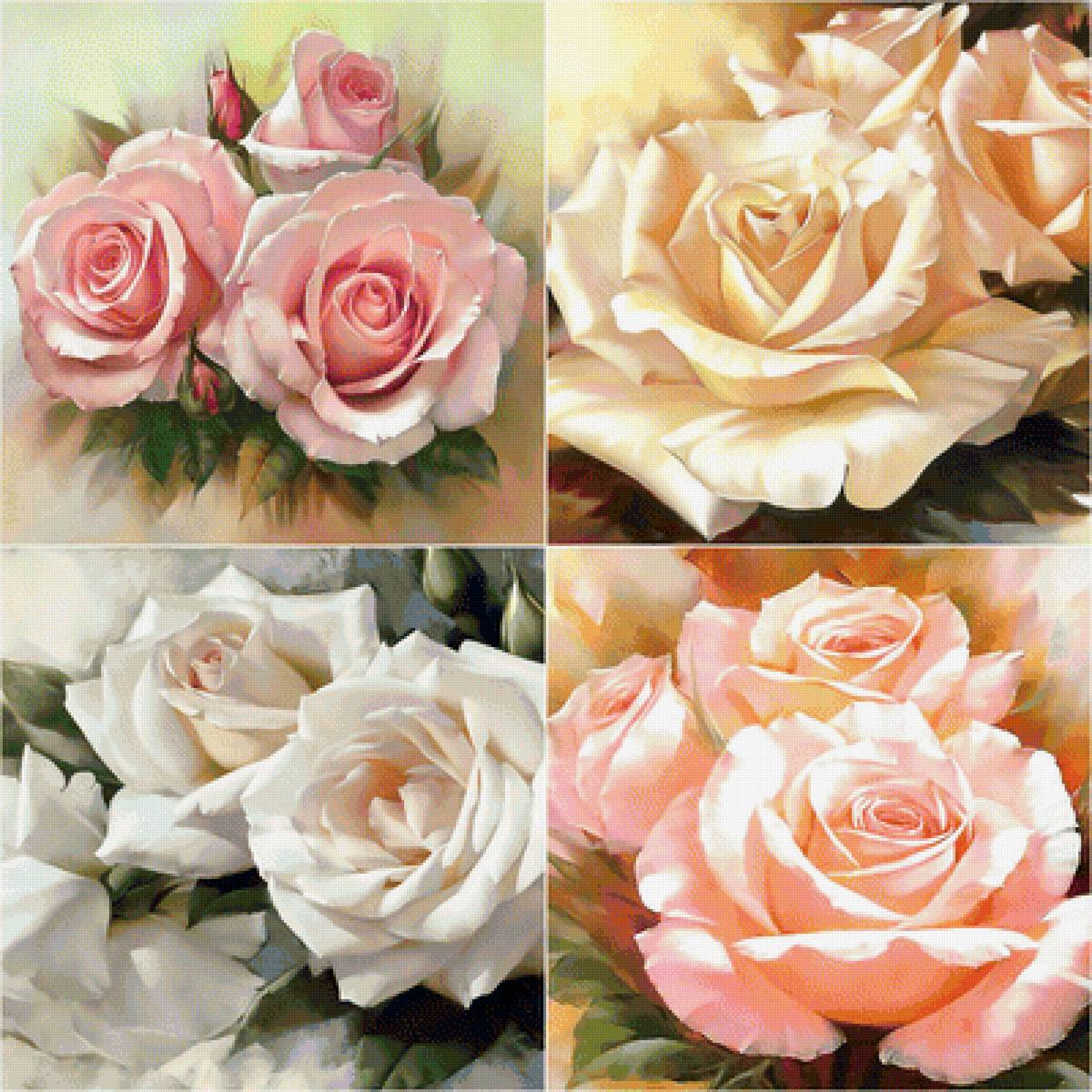 Розы. - коллаж, цветы, розы - предпросмотр