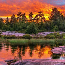 Схема вышивки «№1981310»
