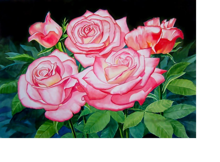 Розы. - цветы, розы, букет - оригинал