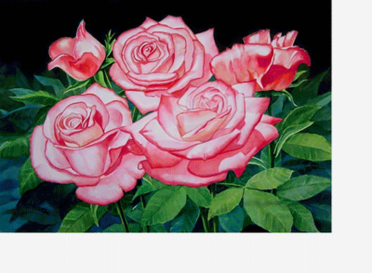 Розы. - цветы, розы, букет - предпросмотр