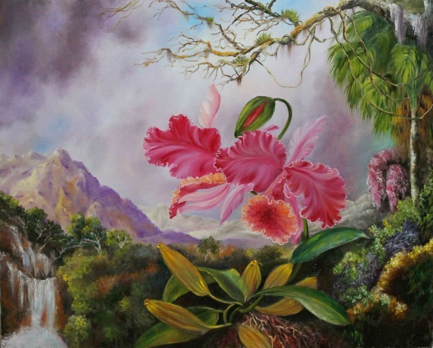 Орхидея - орхидея.картинa - оригинал