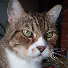 Схема вышивки «Серьезный парень»