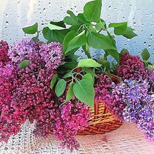 Схема вышивки «№1981639»