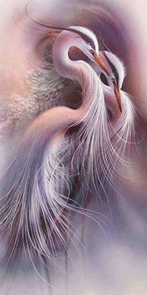 Цапли. - птицы, цапли - предпросмотр